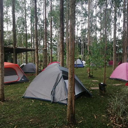 Murchison Backpackers Masindi 外观 照片