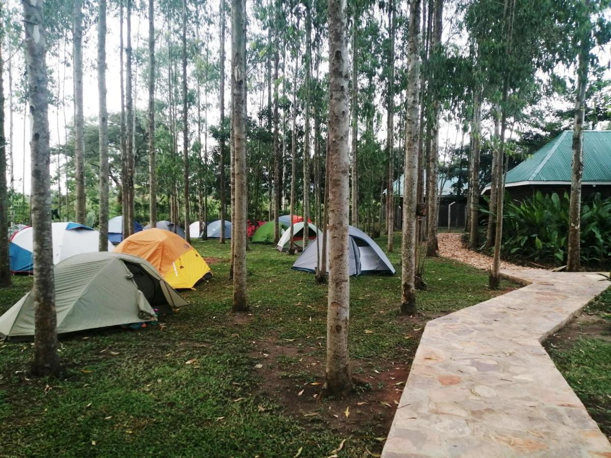 Murchison Backpackers Masindi 外观 照片