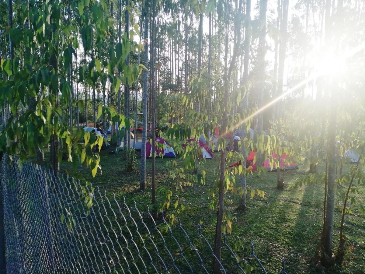 Murchison Backpackers Masindi 外观 照片