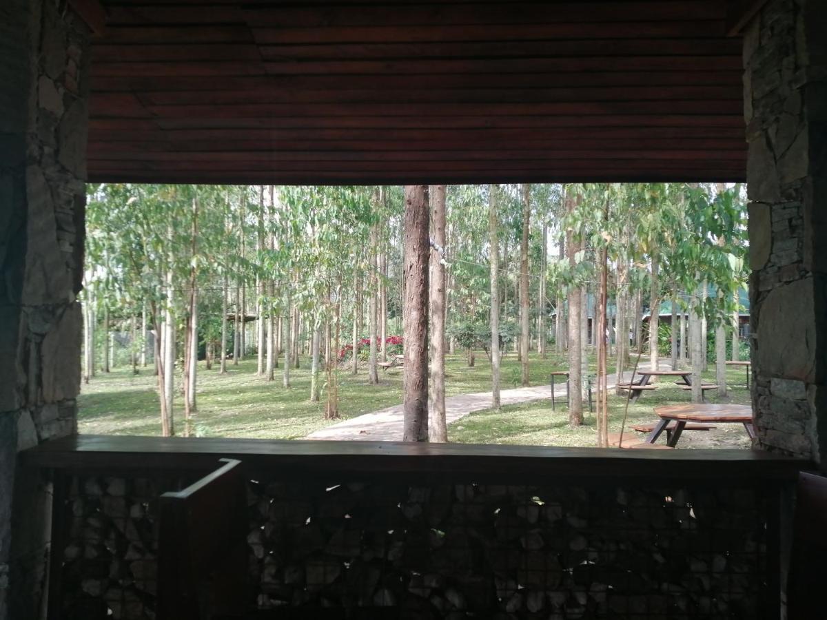 Murchison Backpackers Masindi 外观 照片