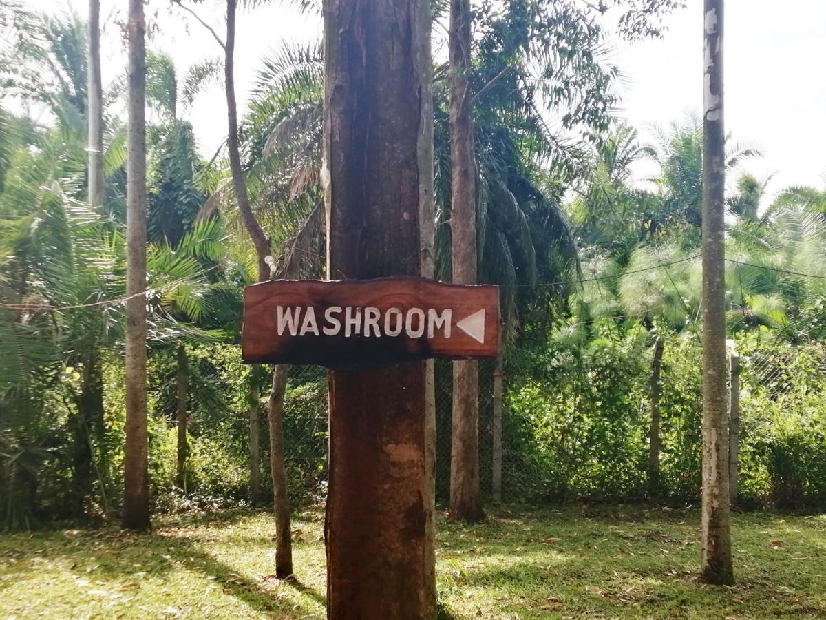 Murchison Backpackers Masindi 外观 照片