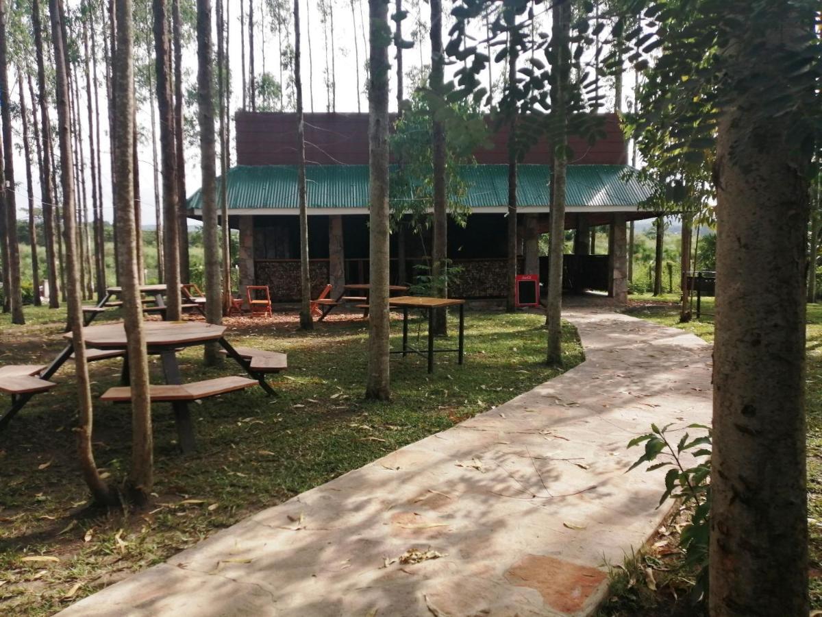 Murchison Backpackers Masindi 外观 照片