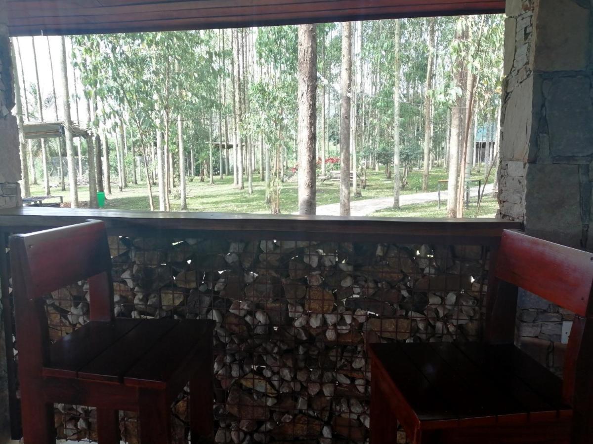 Murchison Backpackers Masindi 外观 照片