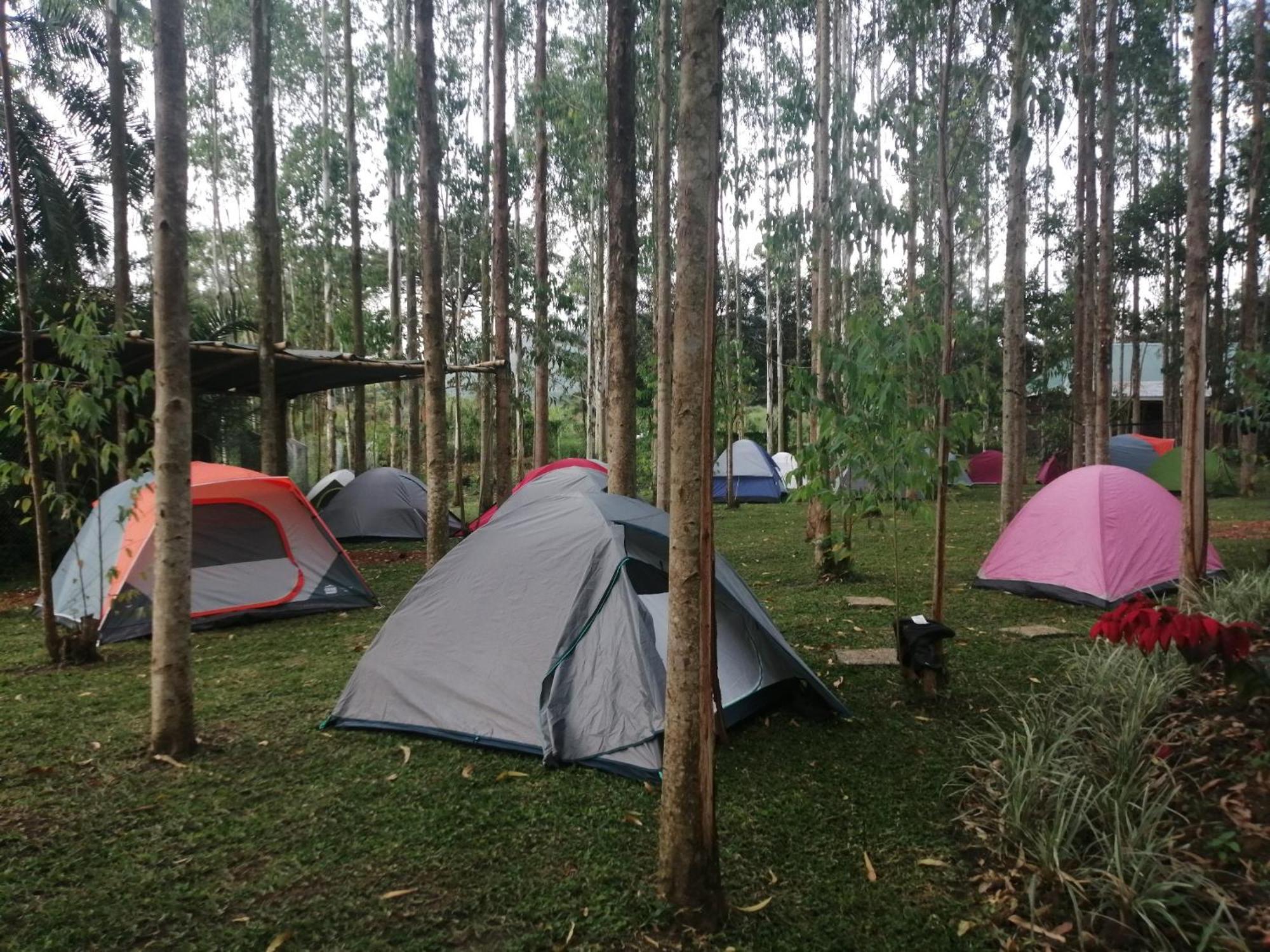 Murchison Backpackers Masindi 外观 照片