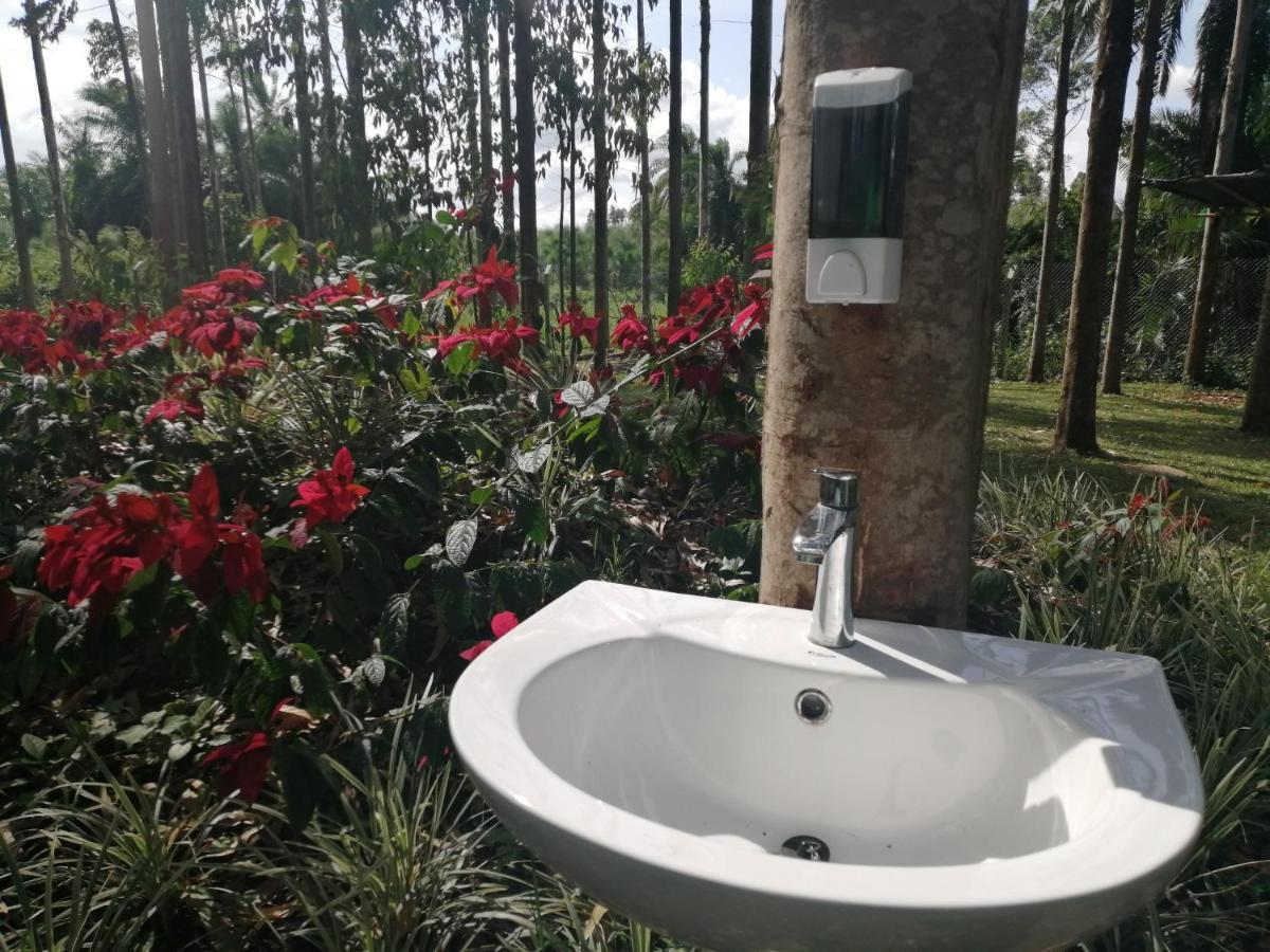 Murchison Backpackers Masindi 外观 照片
